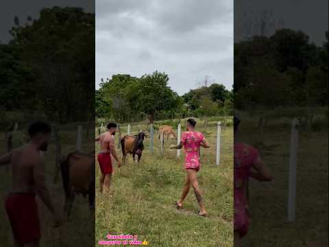 La Vaca Lola 😂😂😂