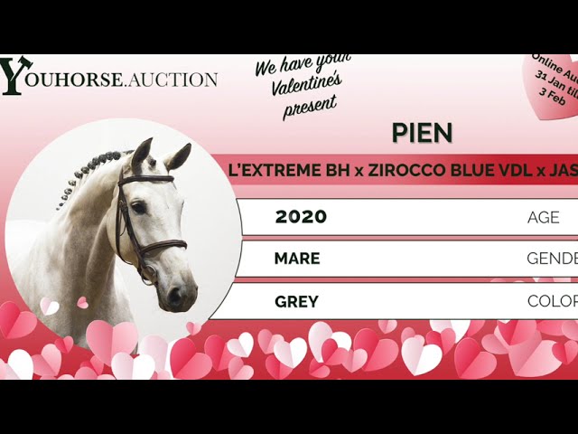 Pien showvideo outdoor