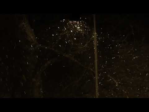 Kantyczka z lotu ptaka : Przemysław Gintrowski, Jacek Kaczmarski, Zbigniew Łapiński