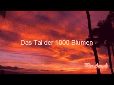 Das Tal der 1000 Blumen - Bert Van Der Bourg
