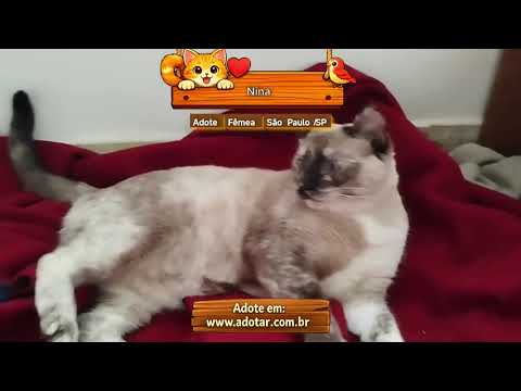Vídeo de Nina 