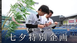 [分享] 今日NPB觀眾人數