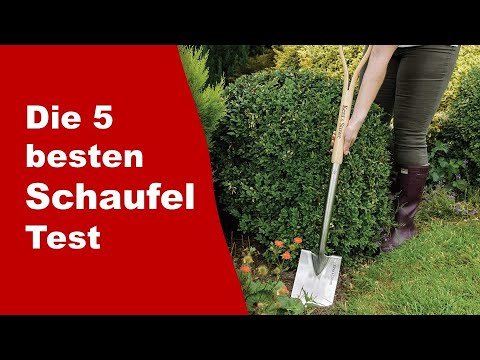 Schaufel Test ✔️ Top 5 besten Schaufel Test
