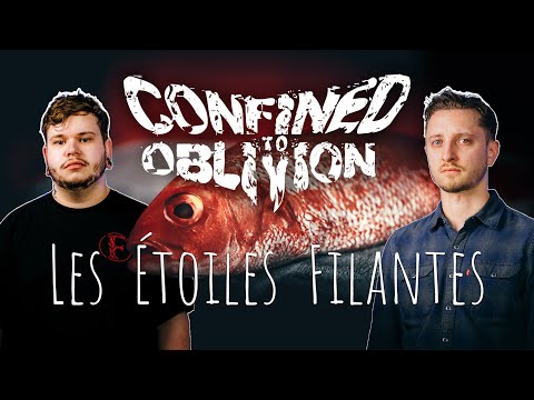Confined to Oblivion -  Les Étoiles Filantes Les Cowboys Fringants (metal cover )