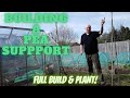 Building A Pea Support Grow Peas At Home [Gardening Allotment UK] [Home Growing Veg & Flowers