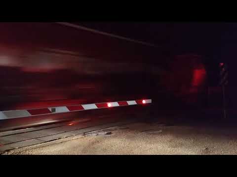 4 x C Class locos, 💯 grain wagons+RL loco.