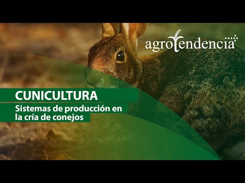 , title : 'CRÍA DE CONEJO | Características y sistemas de producción'