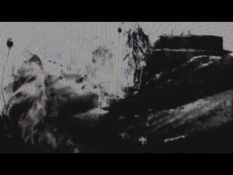 LOCUST REVIVAL - PANAPHONICS