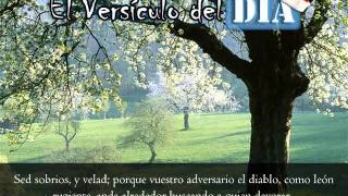 Miniatura del video: El versiculo del dia .com - 1 Pedro 5 v8