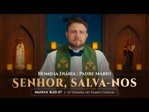 Homilia Diária | Terça-feira - 13ª Semana do Tempo Comum -  (Mt  8,23-27)