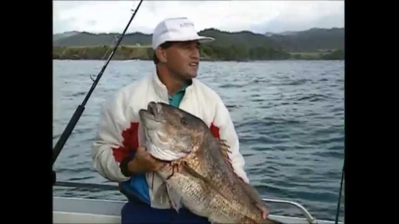 Te Kaha Snapper - TRADEZONE GONE FISHIN 
