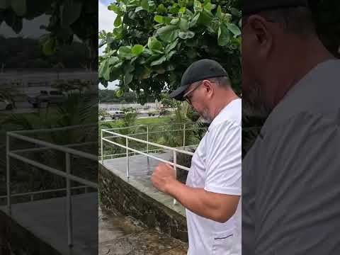 PARECE MENTIRA, MAS É SÃO CAETANO DE ODIVELAS