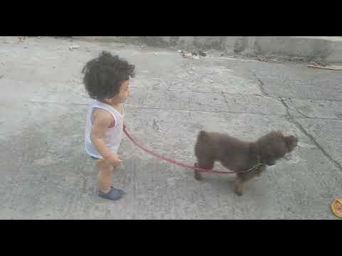 isang taong bata mahilig sa aso pero aso Ang humihila haha 😂