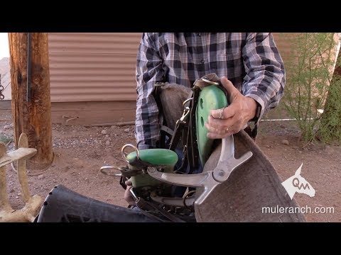 download lagu mp3 mp4 Donkey Pack Saddle, download lagu Donkey Pack Saddle gratis, unduh video klip Donkey Pack Saddle