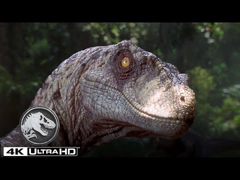 Las mejores escenas del Velociraptor en 4K HDR | Jurassic World