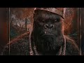 Kong Whatsapp Status HD