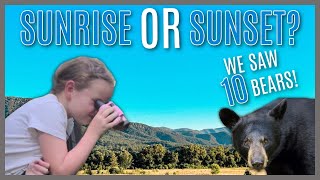 Cades Cove Loop Road - The Best Time To Visit? Great Smoky Mountains National Park Scenic Drive