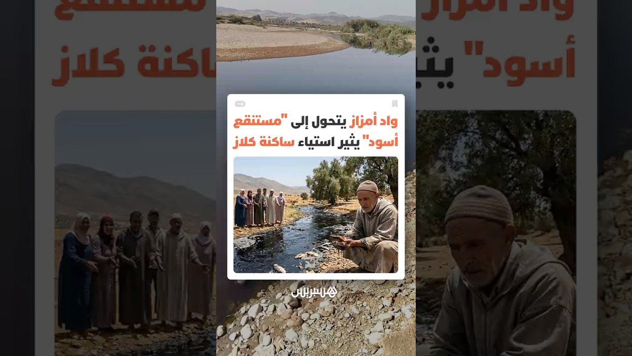 مخلفات معاصر الزيتون تحوّل أحد أهم روافد واد ورغة إلى مجرى أسود وسط مطالبات بالتدخل العاجل thumbnail