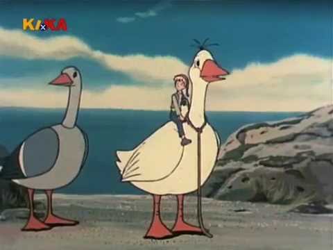 29 - Flügelschön und Goldauge