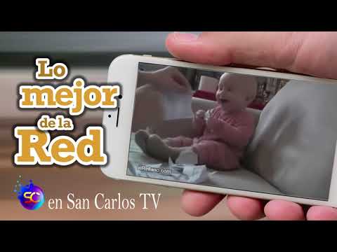 LO MEJOR DE LA RED 4