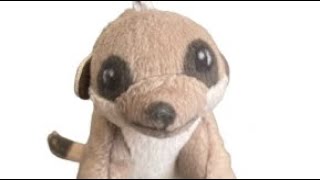 Download lagu MV Attention - Charlie Puth #ส่งงานครูพีรพล mp3