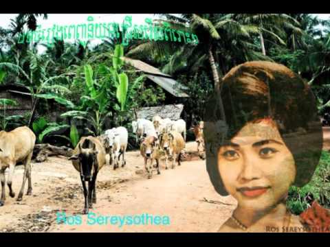 Top15 Ros Sereysothea, Ros Sereysothea song collection, Ros Sereysothea songs mp3