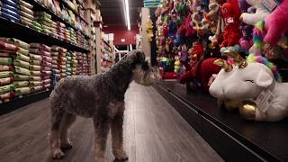 Já, maður bara reddar sér..