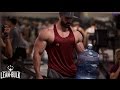 DAY 28 | LEAN BULK: BIG CHEST DAY & ARMS
