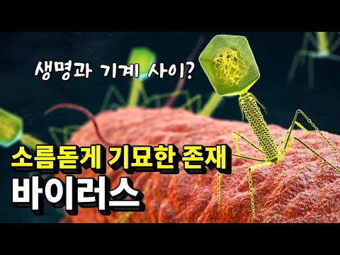 지구에서 가장 기묘한 존재, 바이러스