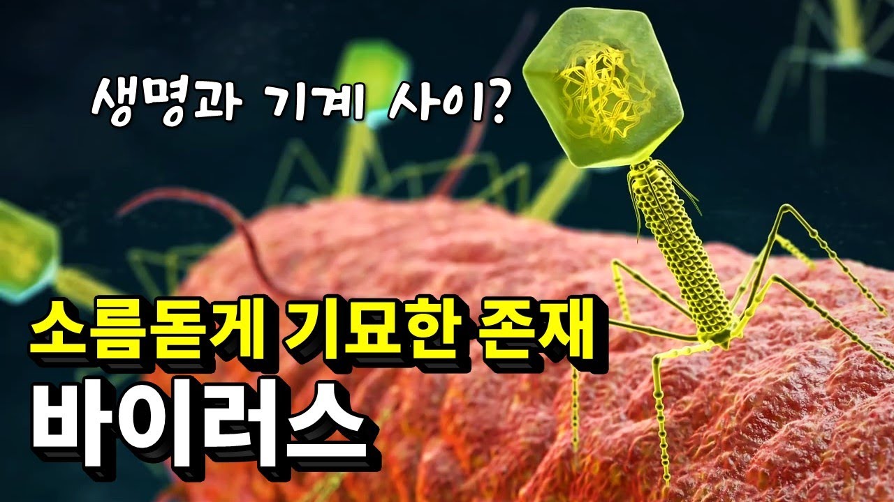 지구에서 가장 기묘한 존재, 바이러스