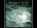 Peter Green - In the Skies 