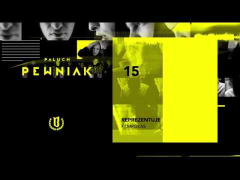 Paluch - "Reprezentuje" ft. Mrokas (OFFICIAL AUDIO 2009)