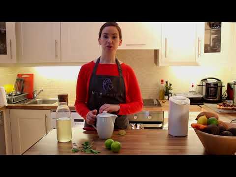 download lagu mp3 mp4 Ginger Beer Nutrition, download lagu Ginger Beer Nutrition gratis, unduh video klip Ginger Beer Nutrition