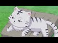 Lyrics AMV Isekai Wa Smartphone To Tomo Ni ED Full 6 Girls Elze Linze Yae Yumina Sushie Leen