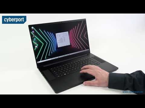 Razer Blade 17 im Test | Cyberport