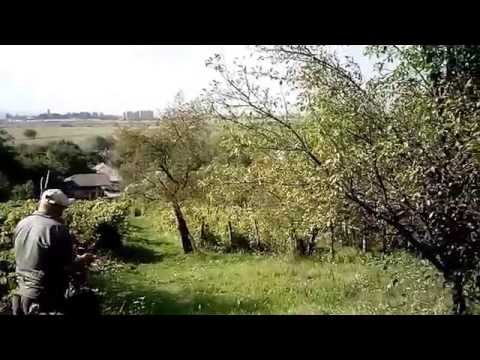 La Trăistaru - Coteni, Buhoci (partea 3)