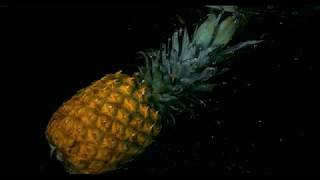 Pineapple Web - Video - 1