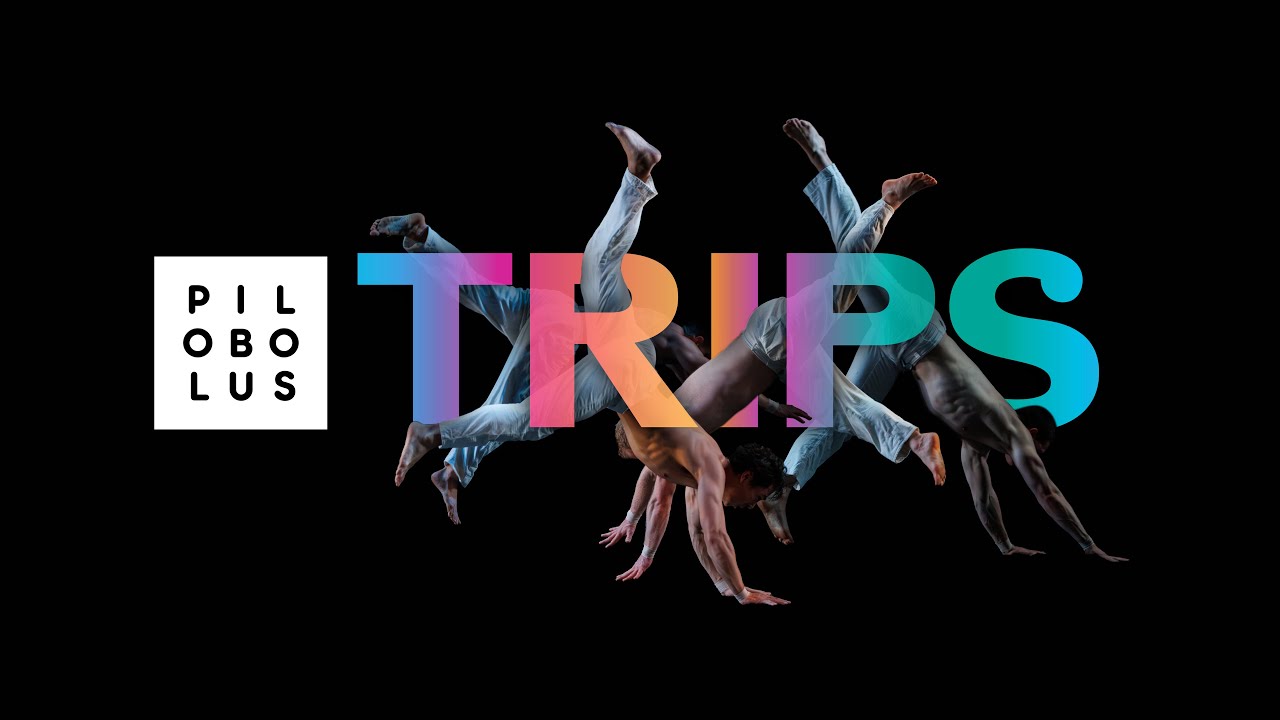 Pilobolus: Trips