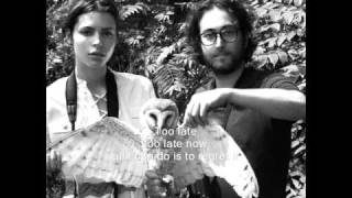 Paper plane - Sean Lennon (with lyrics)