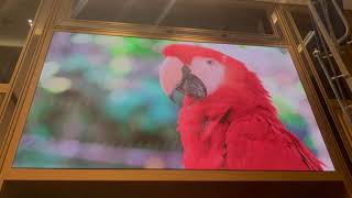 QSTECH's First H19 Case in Vietnam