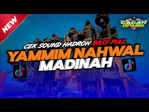 "New" Yammim Nahwal Madinah - Cek Sound Koplo Hadroh Bass Pull (audio jernih) Azzair Style