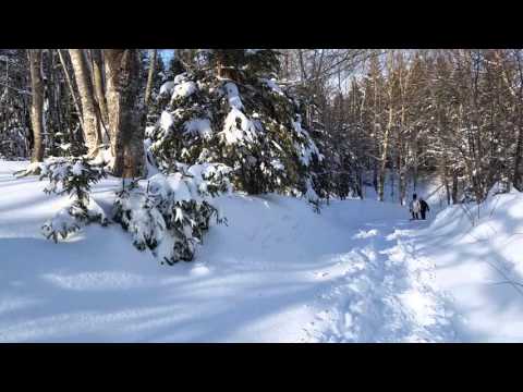 Lewis Mountain snowshoe
