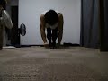 アブローラー110回 110 Ab Wheel
