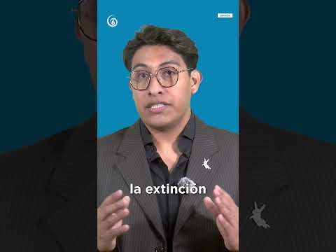 Opinión: Exigen a la FGJCDMX no ocultar información del caso Montesinos Aparicio