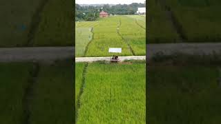 Download lagu Parodi Iklan Lawas Tahun 90an || RCTI Oke mp3