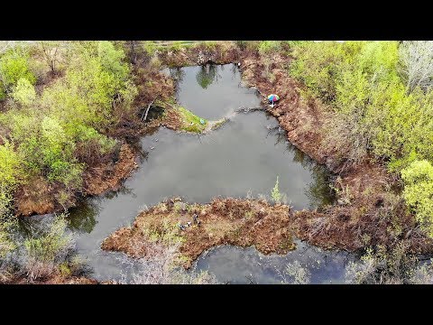 Фото В ЭТОЙ ЛУЖЕ ПОЛНО РЫБЫ! КАРАСЬ, ОКУНЬ, ЧЕБАК, ЯЗЬ,ЩУКА! Рыбалка на поплавок