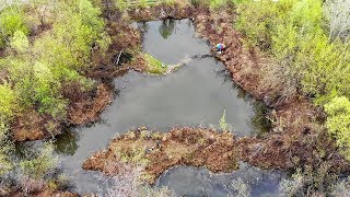 Клев рыбы в лебяжьем краснотуранского района