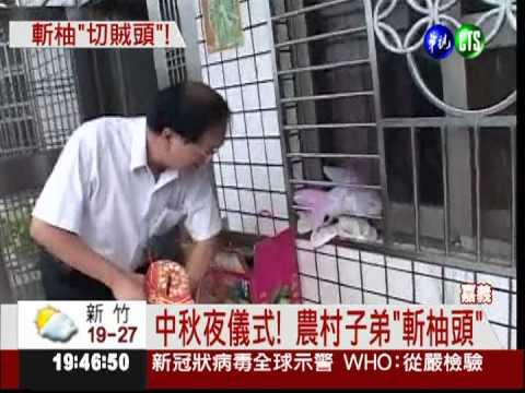 斬柚"切賊頭"! 嘉義逗趣妙習俗