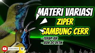 Download lagu MASTERAN SOGON VARIASI ZIPER SAMBUNG CERR TERAPI AIR DAN JEDA!! #sogon #sogokontonggacor #sogongacor mp3 Download lagu MASTERAN SOGON VARIASI ZIPER SAMBUNG CERR TERAPI AIR DAN JEDA!! #sogon #sogokontonggacor #sogongacor mp3