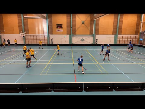 Treenipeli: Jalas II - Sydänmaa